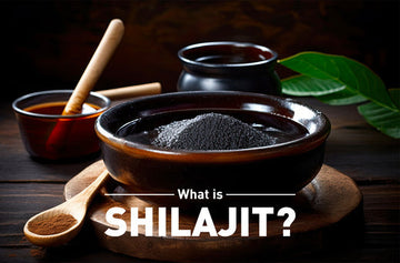 What is Shilajit? Which is the best Shilajit brands in India?