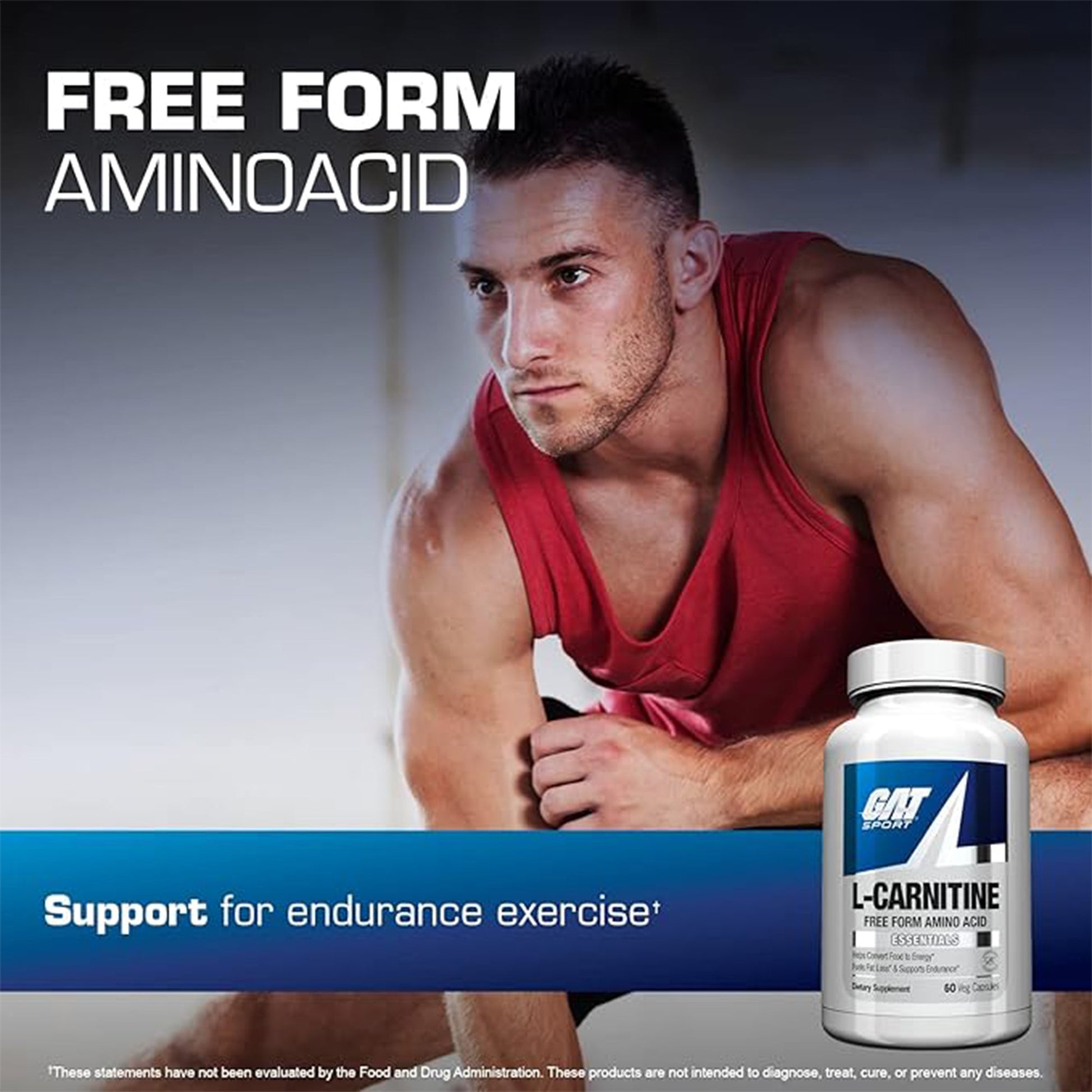 gat l carnitine L-CARNITINE Price in India gat l carnitine liquid GAT
