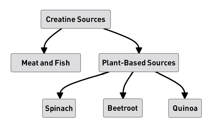 Sources of Creatine for Vegetarians
